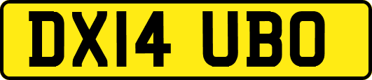 DX14UBO