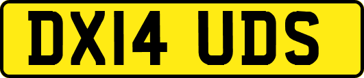 DX14UDS