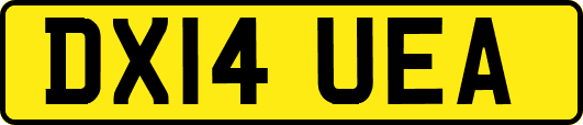 DX14UEA