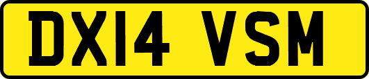 DX14VSM