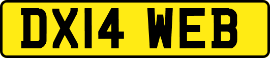 DX14WEB