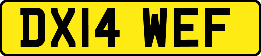 DX14WEF