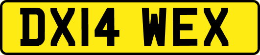 DX14WEX