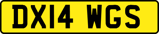 DX14WGS