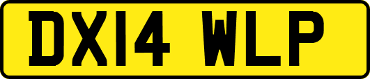 DX14WLP