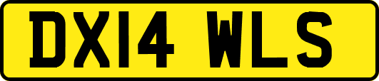 DX14WLS