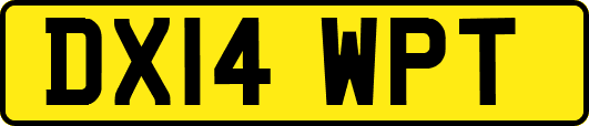 DX14WPT