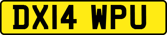 DX14WPU