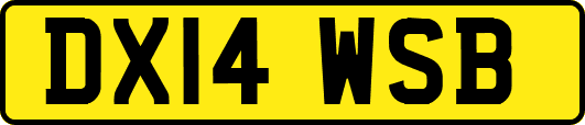 DX14WSB