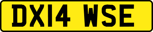 DX14WSE