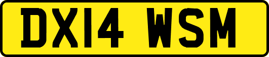 DX14WSM