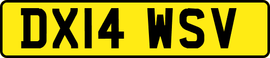 DX14WSV