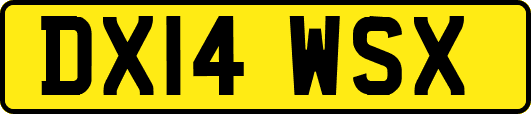 DX14WSX