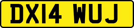 DX14WUJ