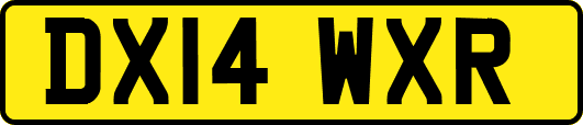 DX14WXR