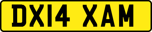 DX14XAM