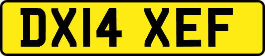 DX14XEF