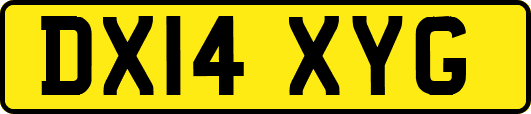 DX14XYG