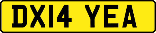 DX14YEA