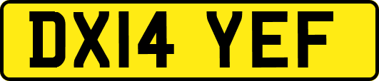 DX14YEF