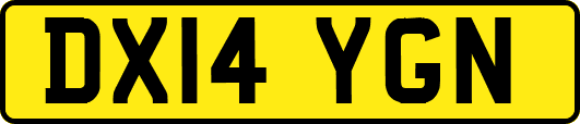 DX14YGN