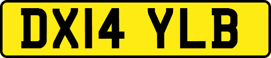 DX14YLB