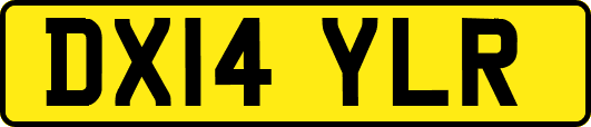 DX14YLR