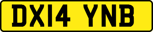 DX14YNB