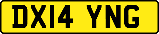 DX14YNG