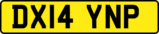 DX14YNP