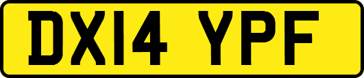 DX14YPF