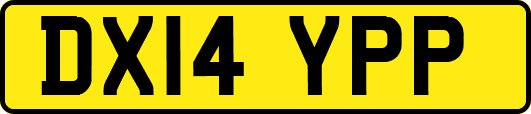 DX14YPP