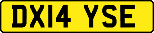 DX14YSE