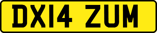 DX14ZUM