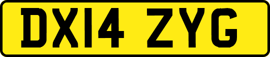 DX14ZYG