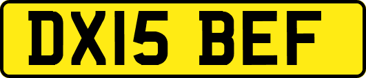 DX15BEF