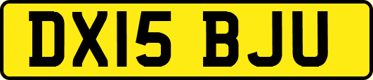 DX15BJU