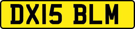 DX15BLM