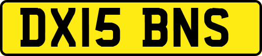 DX15BNS