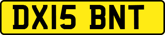 DX15BNT