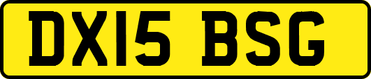 DX15BSG