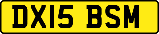DX15BSM