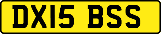 DX15BSS