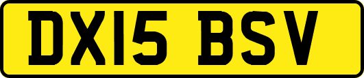 DX15BSV