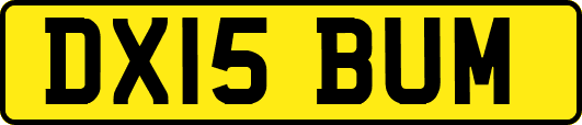 DX15BUM