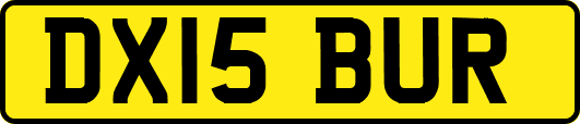 DX15BUR