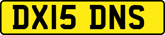 DX15DNS