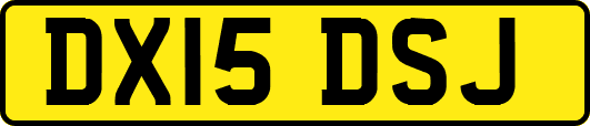 DX15DSJ