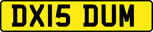DX15DUM
