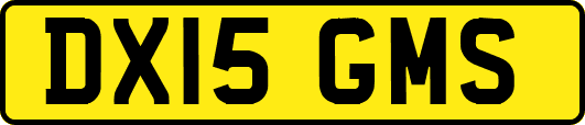 DX15GMS